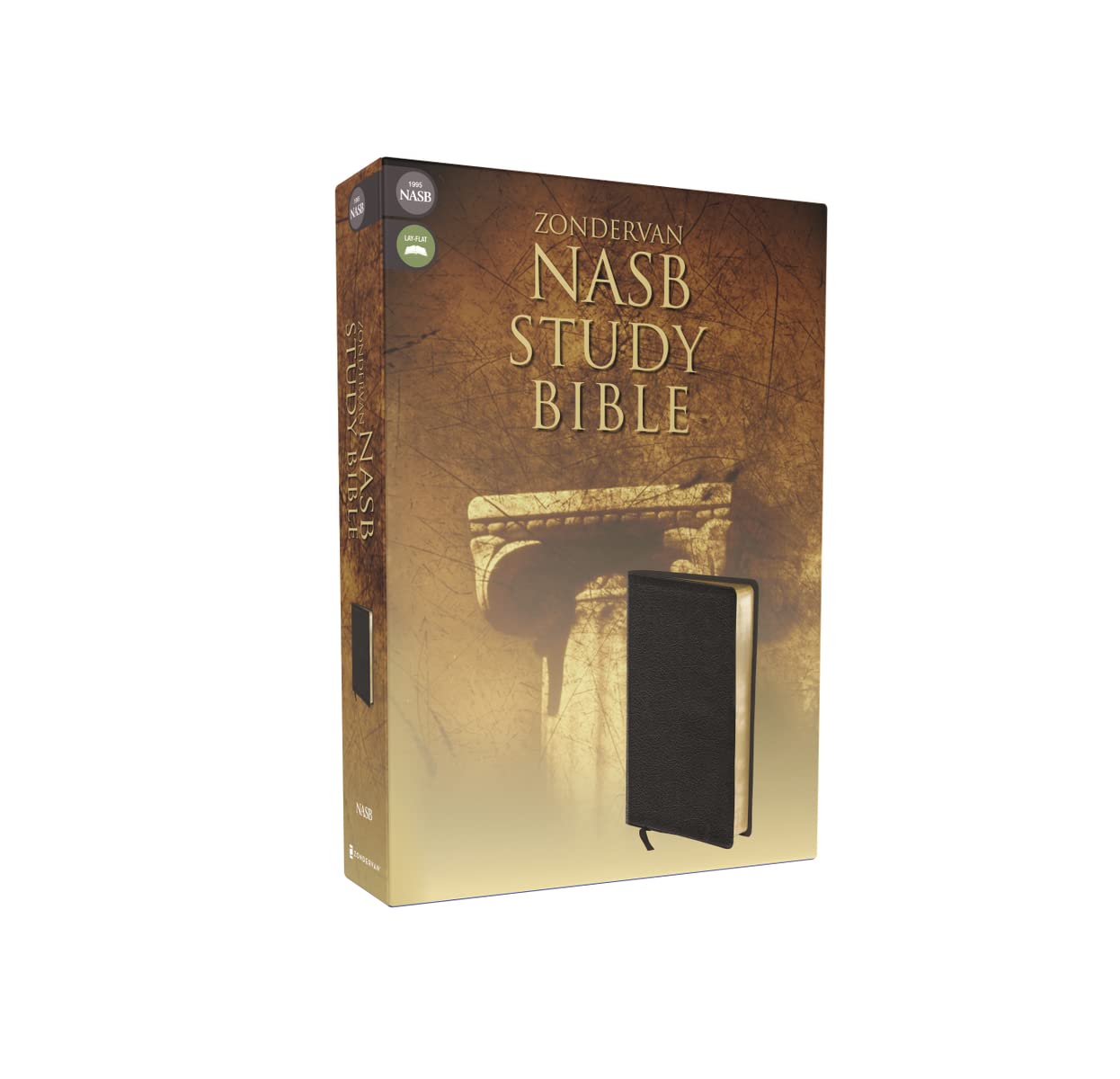 NASB Study Bible, Black