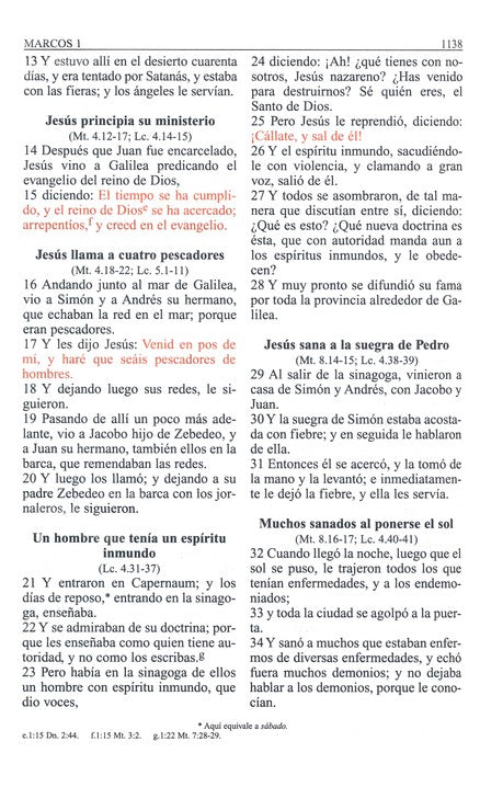 Biblia RVR 1960 Edición Portátil con Cierre, Letra Grande, Tamaño Manual