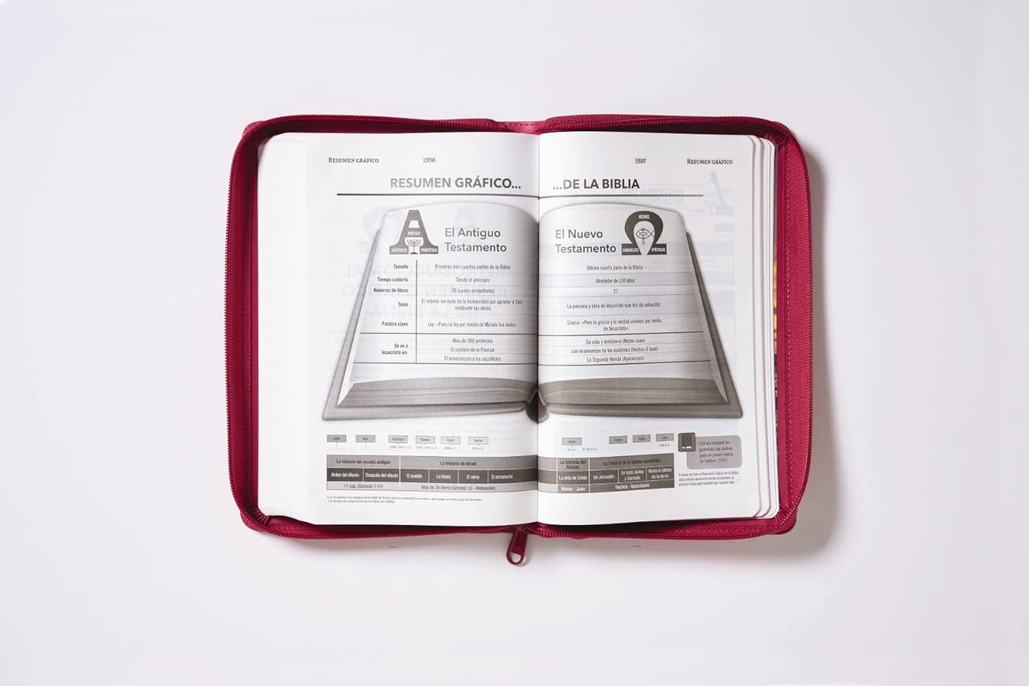 Biblia Reina-Valera 1960, Tierra Santa, Ultrafina, Letra grande, Leathersoft, Fucsia, Con cierre