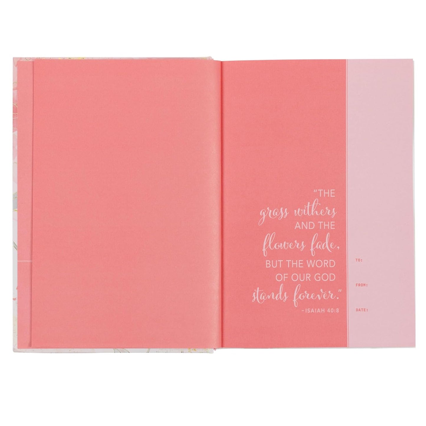 NLT Holy Bible Everyday Devotional Bible for Women