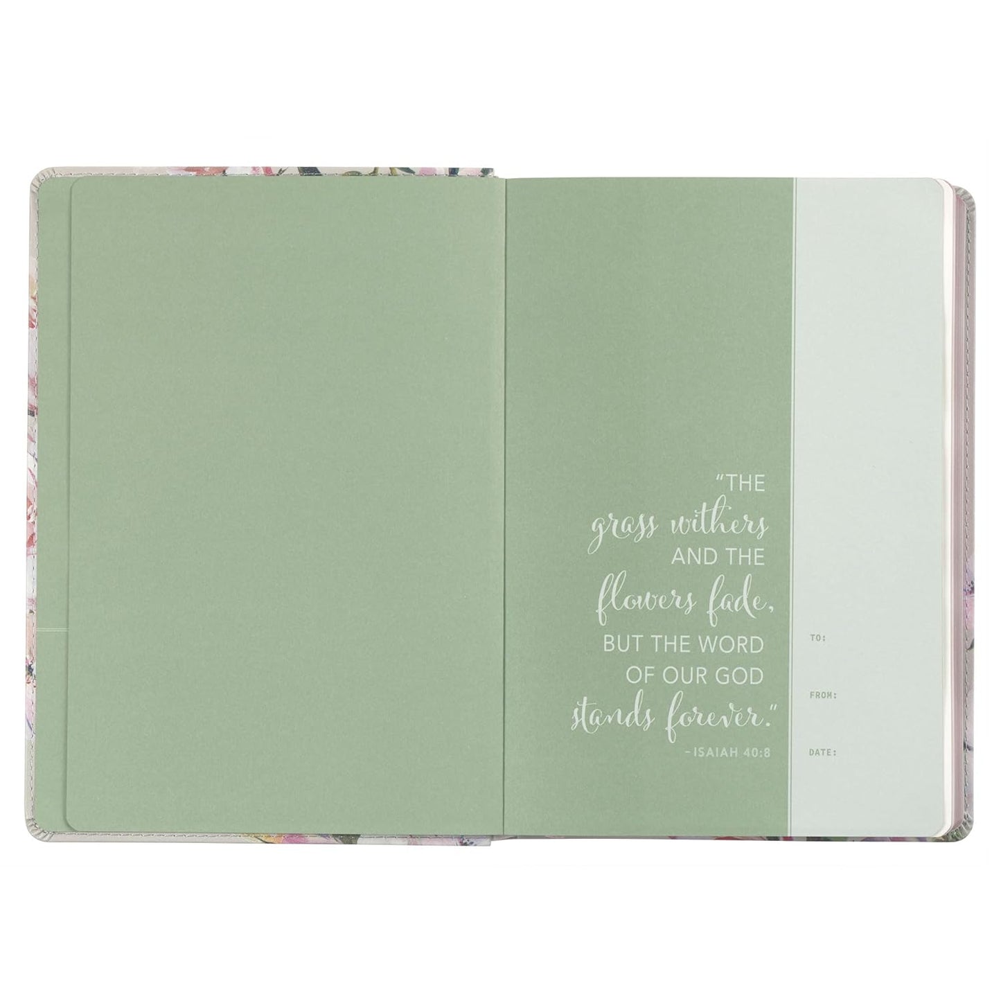 NLT Holy Bible Everyday Devotional Bible for Women