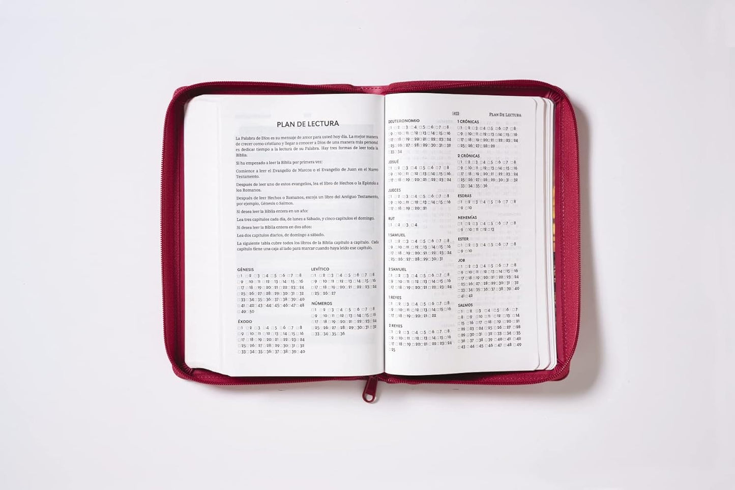 Biblia Reina-Valera 1960, Tierra Santa, Ultrafina, Letra grande, Leathersoft, Fucsia, Con cierre