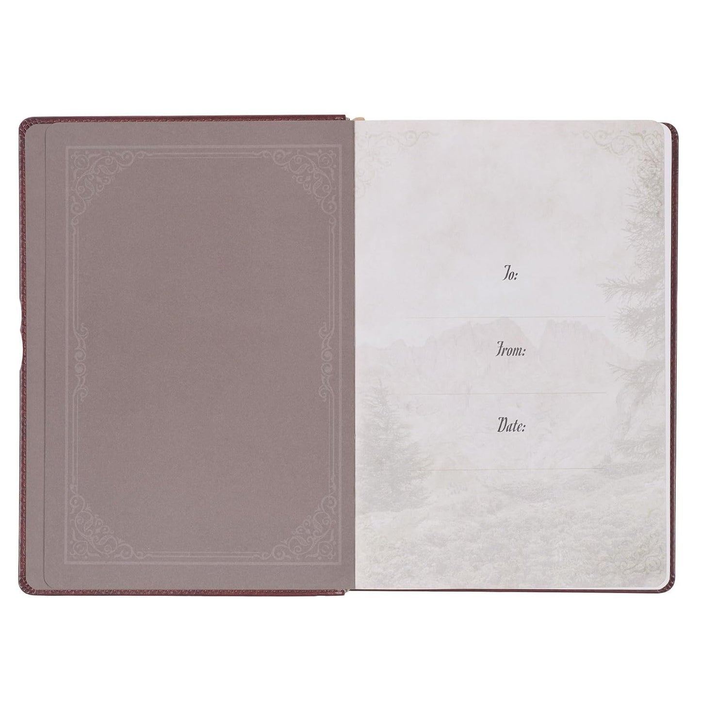 Pursuing God 366 Daily Devotions Large Print