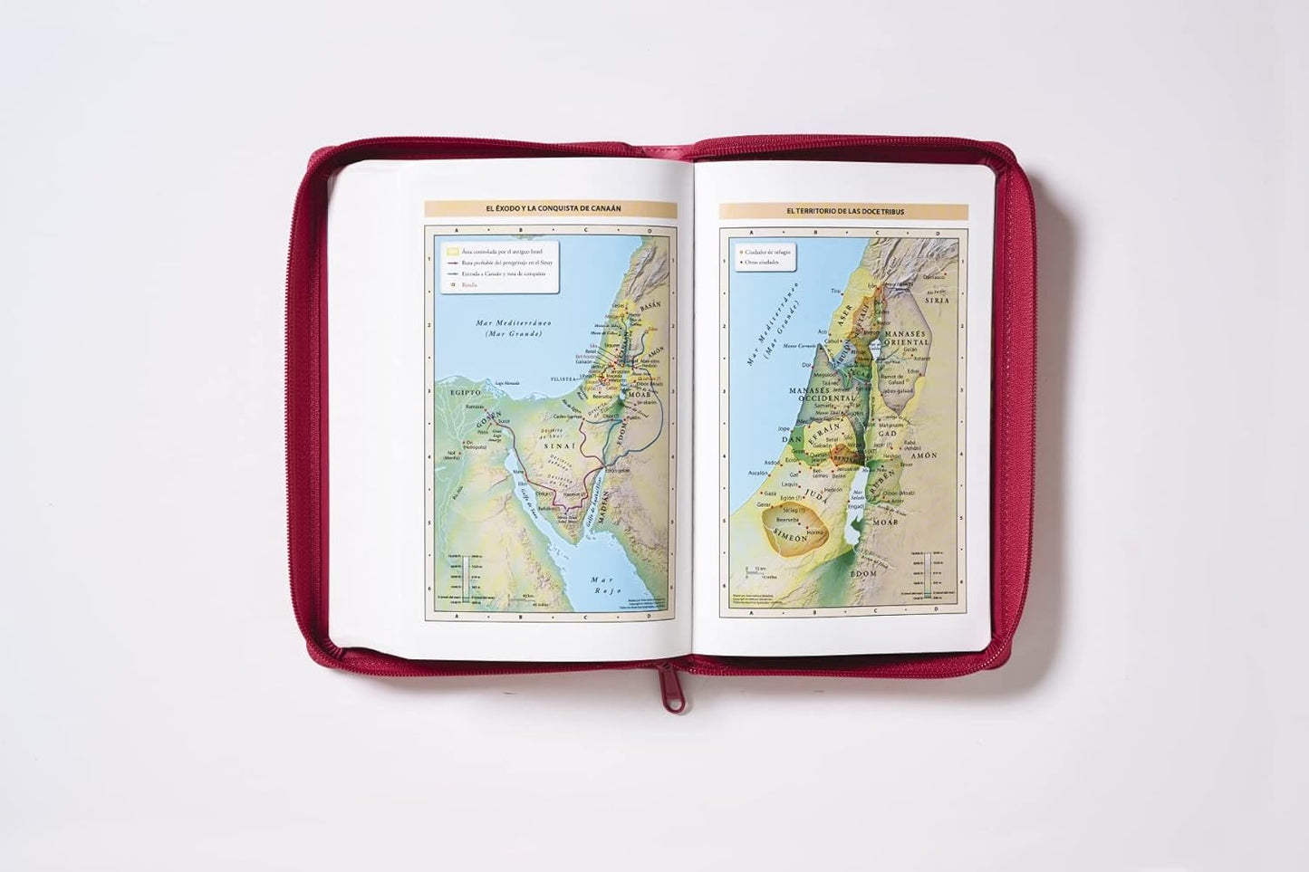 Biblia Reina-Valera 1960, Tierra Santa, Ultrafina, Letra grande, Leathersoft, Fucsia, Con cierre