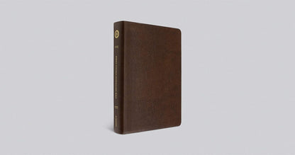 ESV Single Column Journaling Bible, Large Print (Mocha)