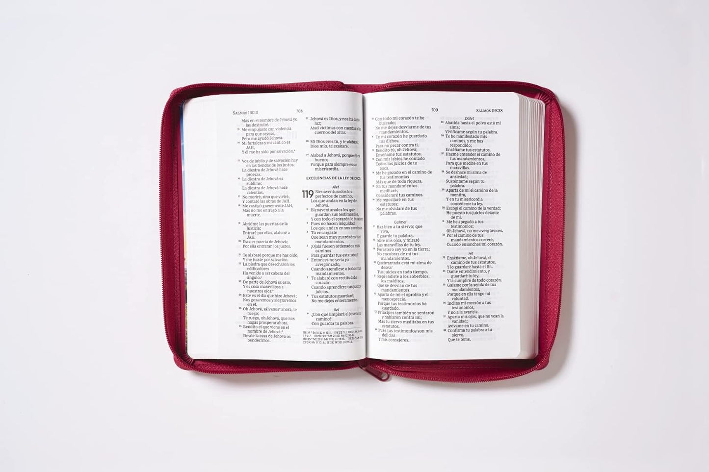 Biblia Reina-Valera 1960, Tierra Santa, Ultrafina, Letra grande, Leathersoft, Fucsia, Con cierre