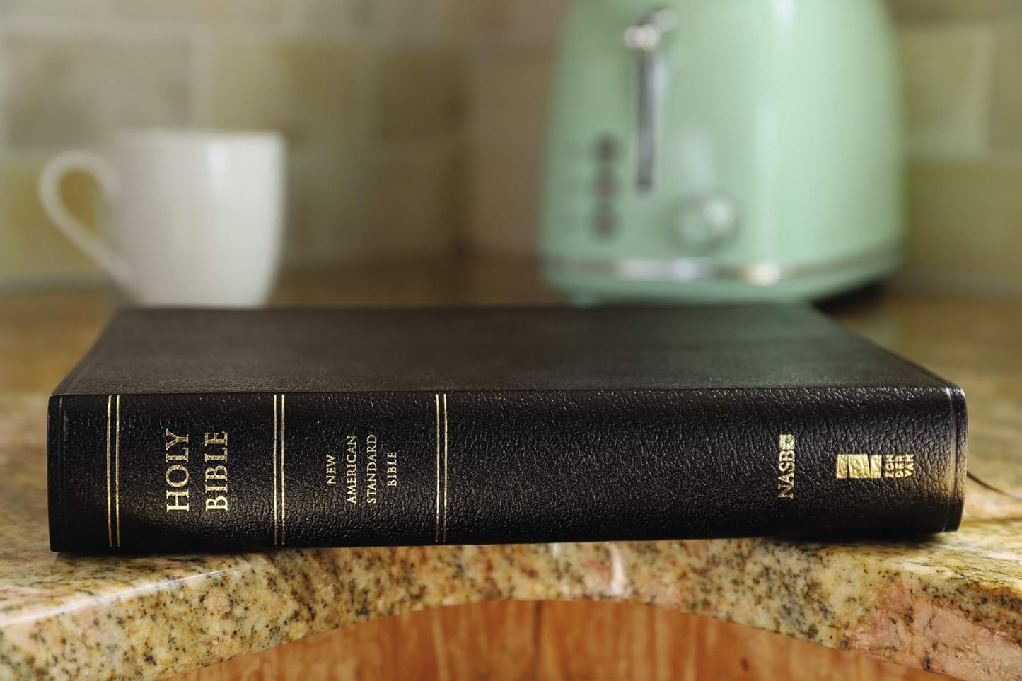 NASB Study Bible, Black