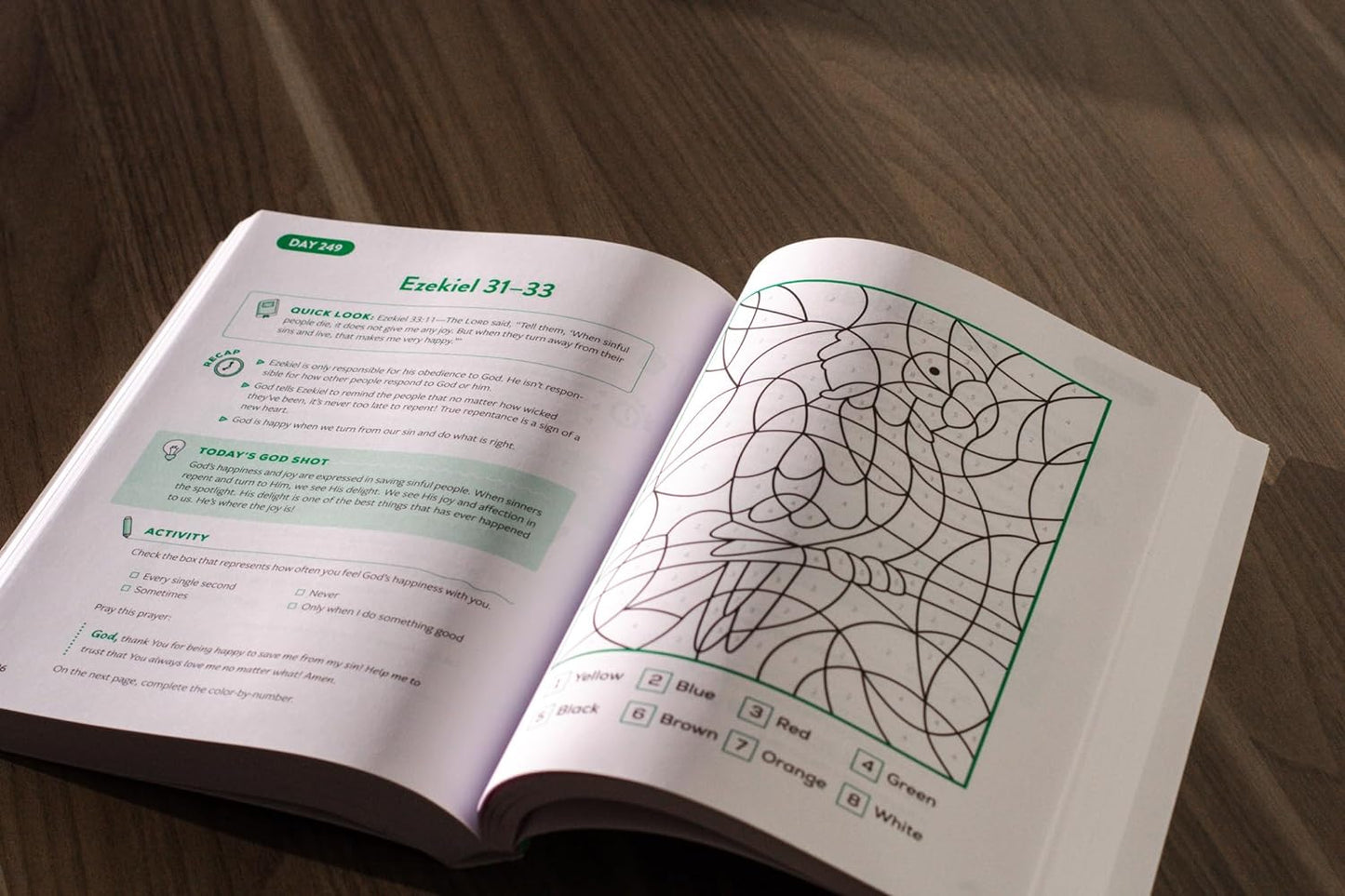 The Bible Recap Kids' Devotional: 365 Reflections and Activities for Children and Families