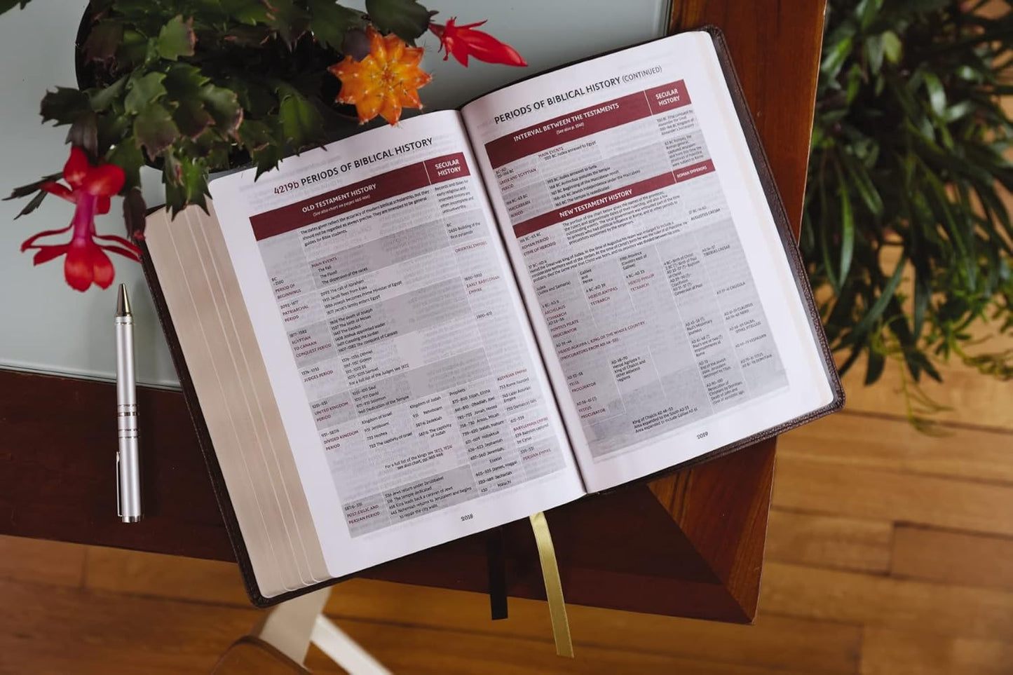 NKJV, Thompson Chain-Reference Bible, Leathersoft, Brown, Red Letter, Comfort Print