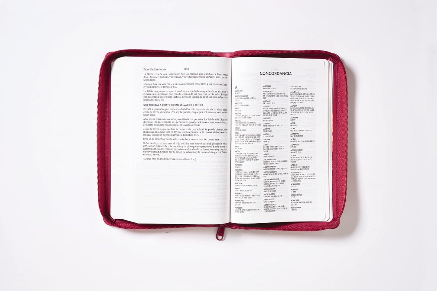 Biblia Reina-Valera 1960, Tierra Santa, Ultrafina, Letra grande, Leathersoft, Fucsia, Con cierre