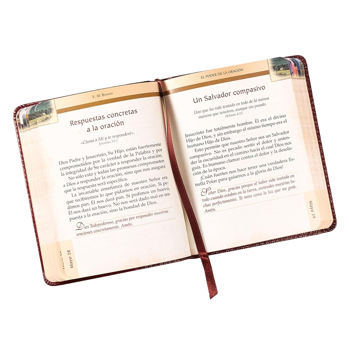 El poder de la oración símil cuero