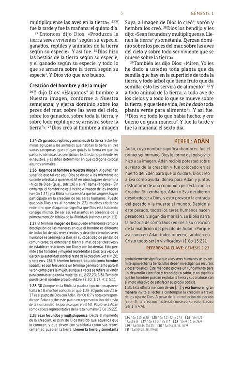 Biblia de estudio NBLA, Piel Imit., Gris (NBLA Study Bible, Leathersoft, Gray)