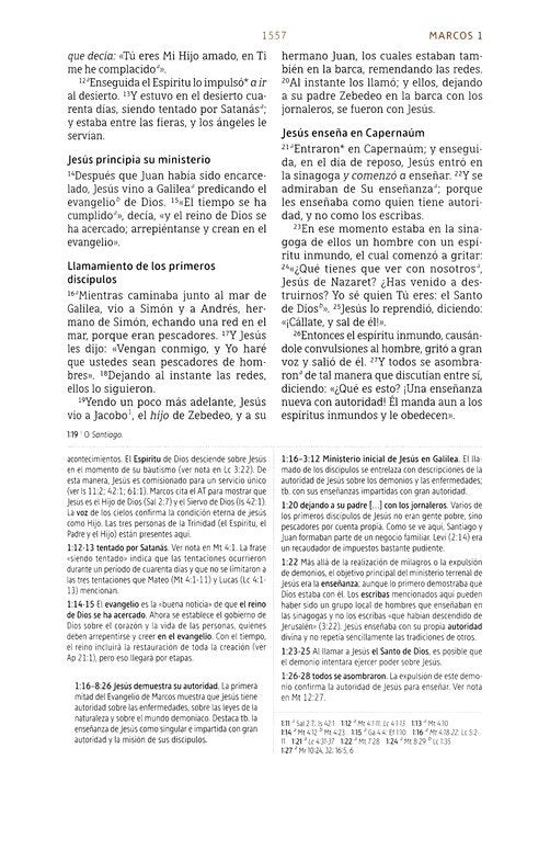 Biblia de estudio NBLA, Piel Imit., Gris (NBLA Study Bible, Leathersoft, Gray)