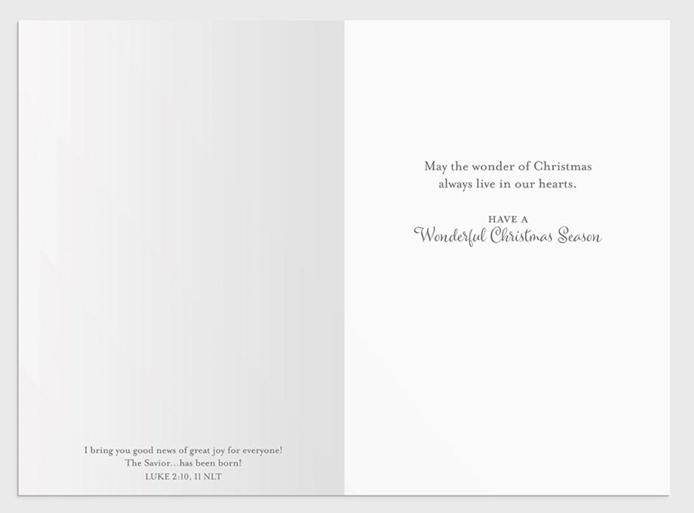 Christ is Born - 18 Christmas Boxed Cards, NLT