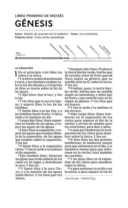RVR60 Santa Biblia, Letra Grande, Tamaño Compacto
