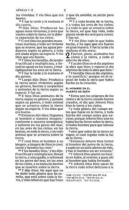 RVR60 Santa Biblia, Letra Grande, Tamaño Compacto