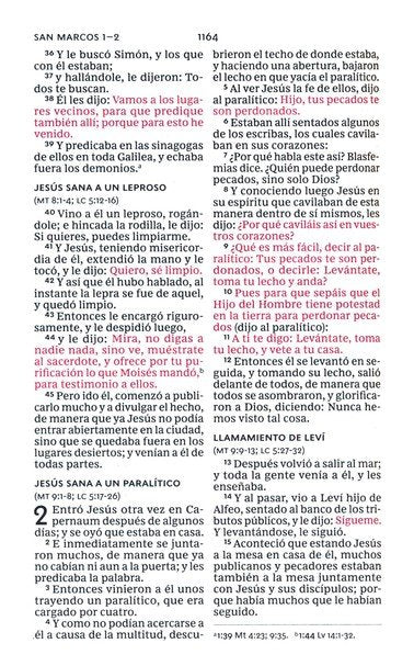 RVR60 Santa Biblia, Letra Grande, Tamaño Compacto
