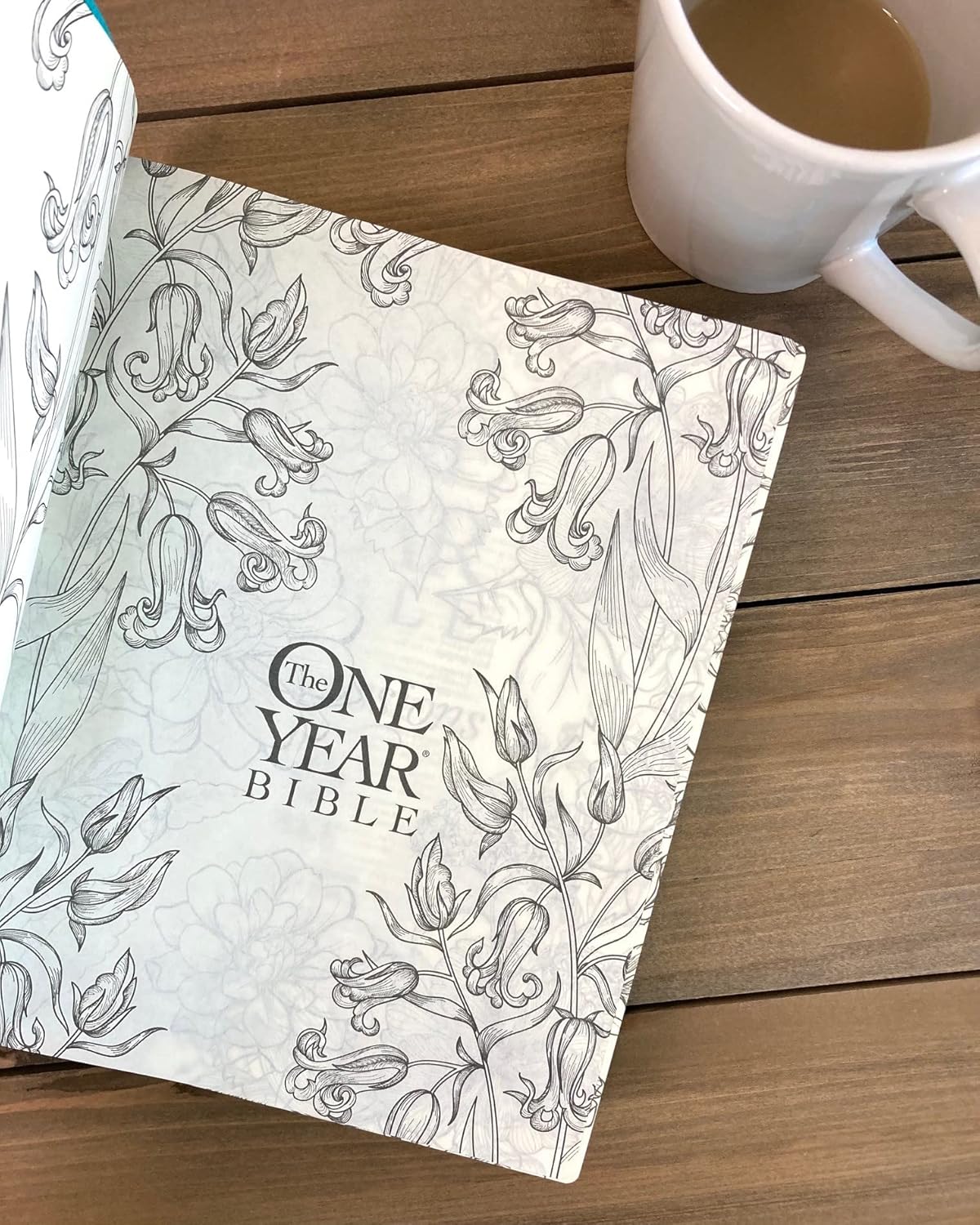 The One Year Bible Expressions NLT (LeatherLike, Tidewater Teal)