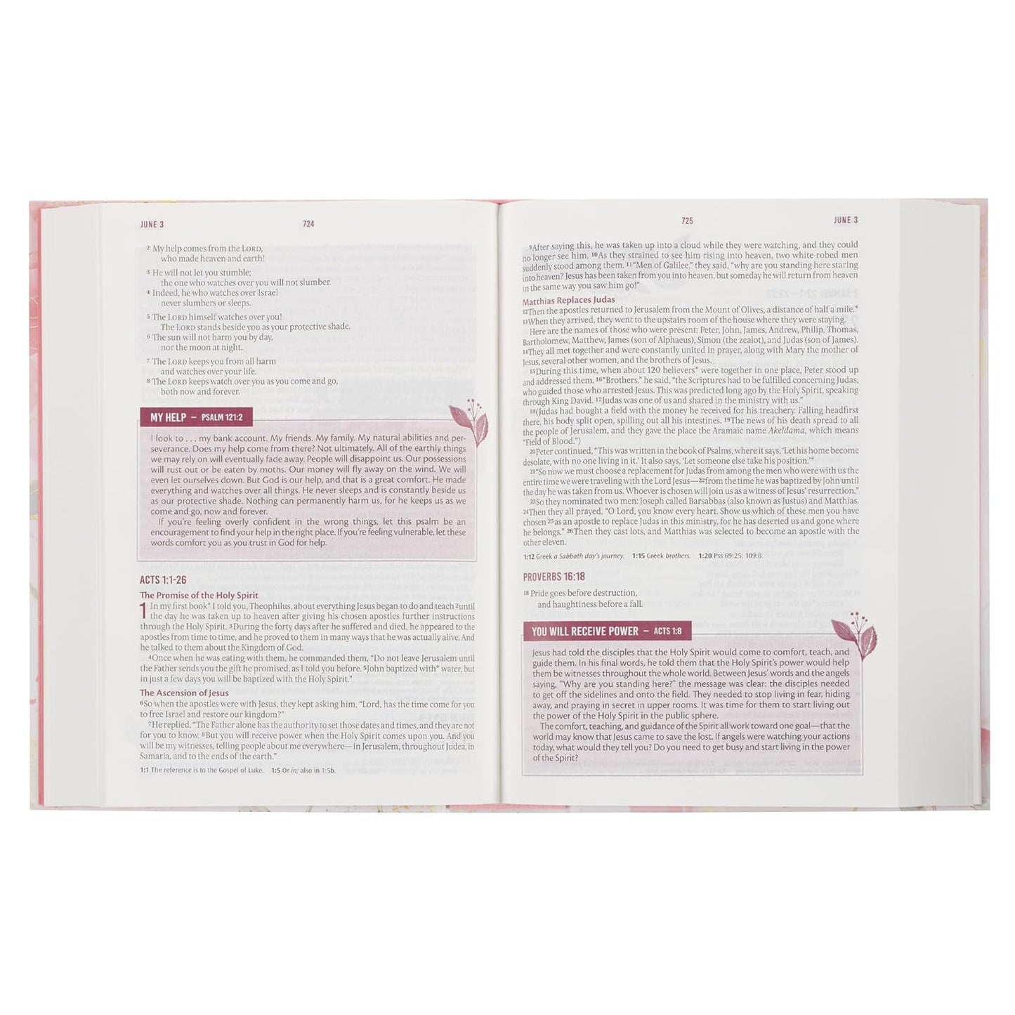 NLT Holy Bible Everyday Devotional Bible for Women