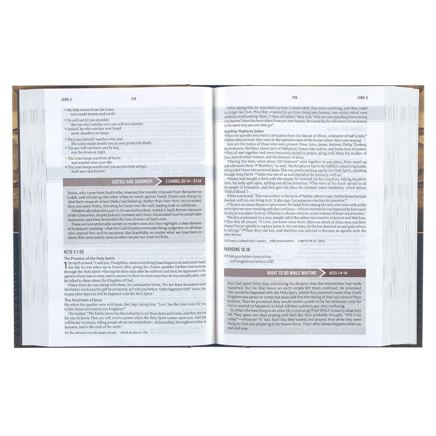 NLT Holy Bible Everyday Devotional Bible for Men