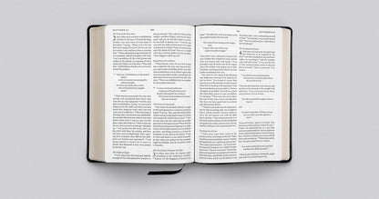 ESV Large Print Bible (Black-Brown)