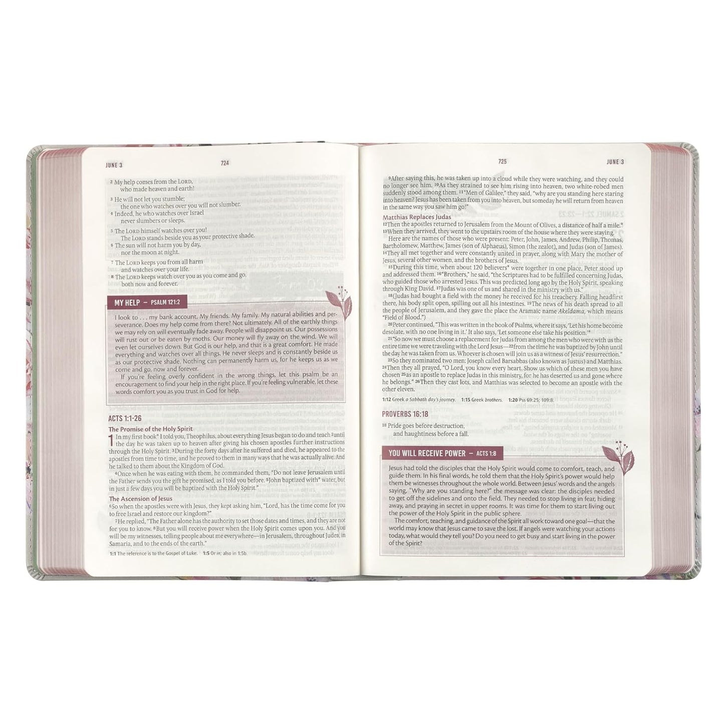 NLT Holy Bible Everyday Devotional Bible for Women