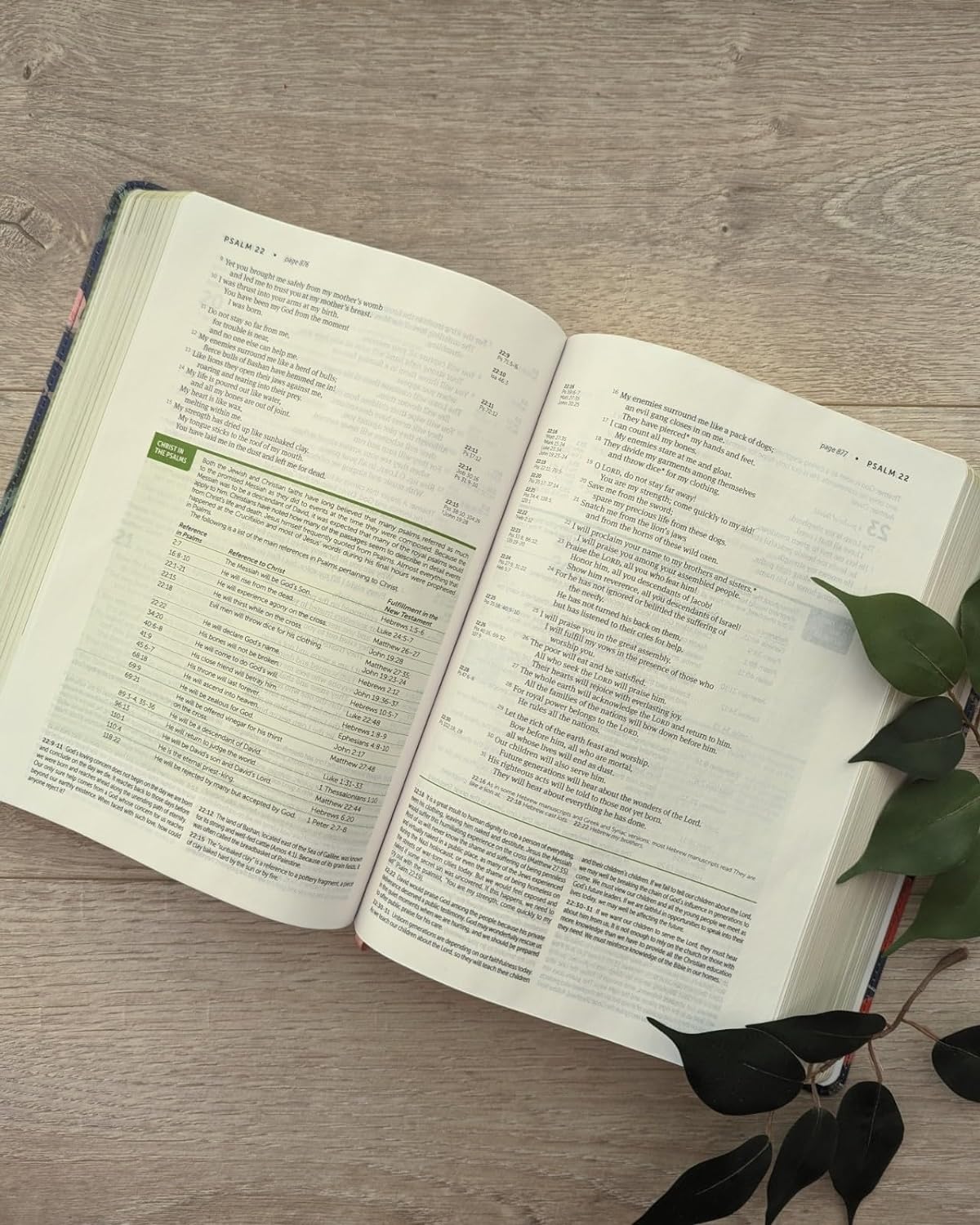 NLT Life Application Study Bible, Third Edition