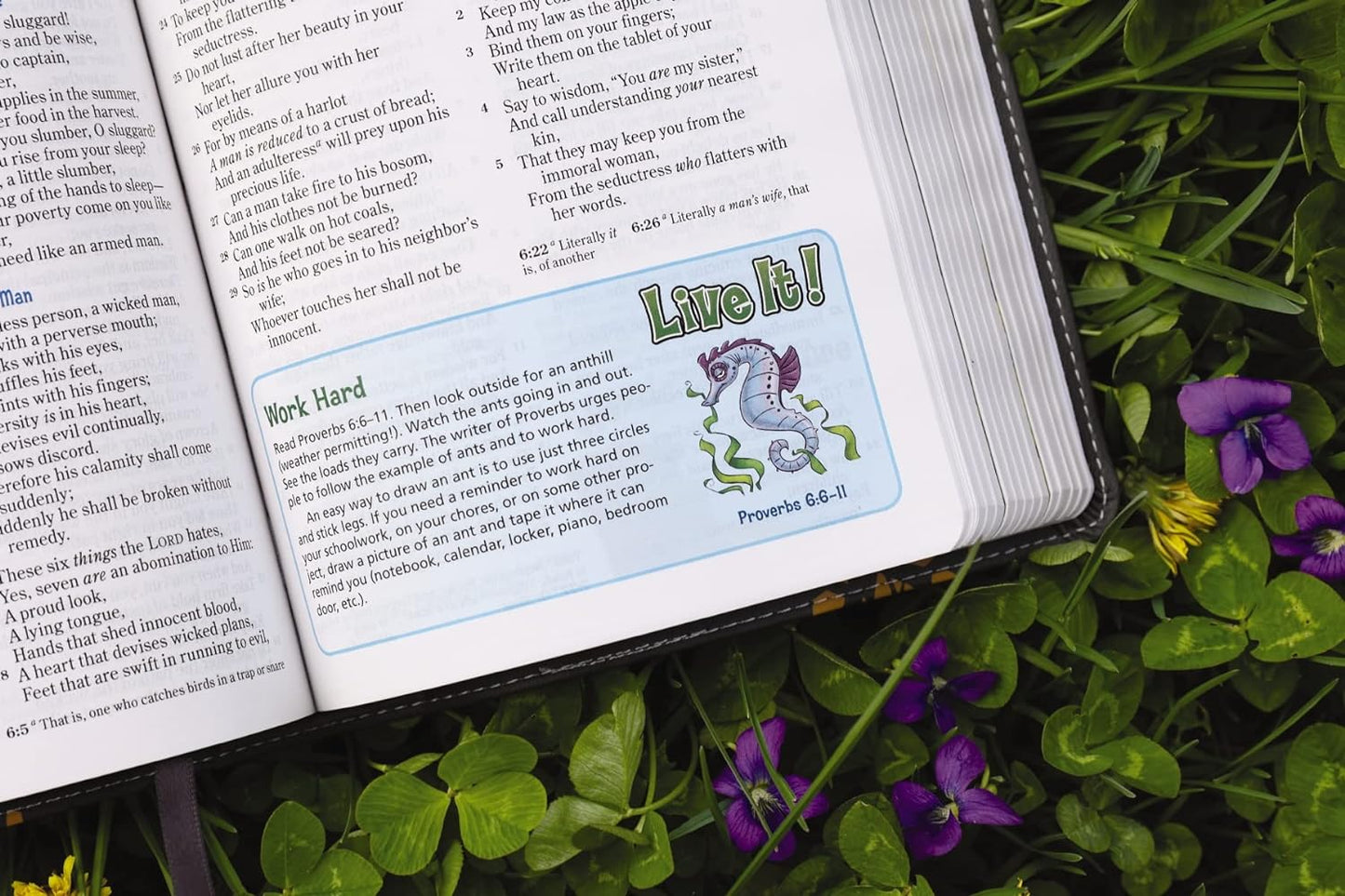 NKJV, Adventure Bible