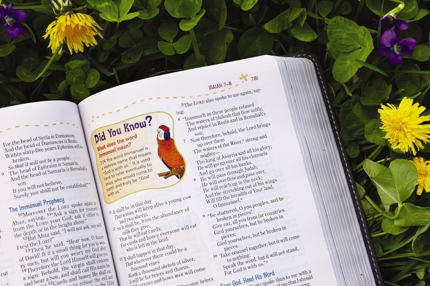 NKJV, Adventure Bible