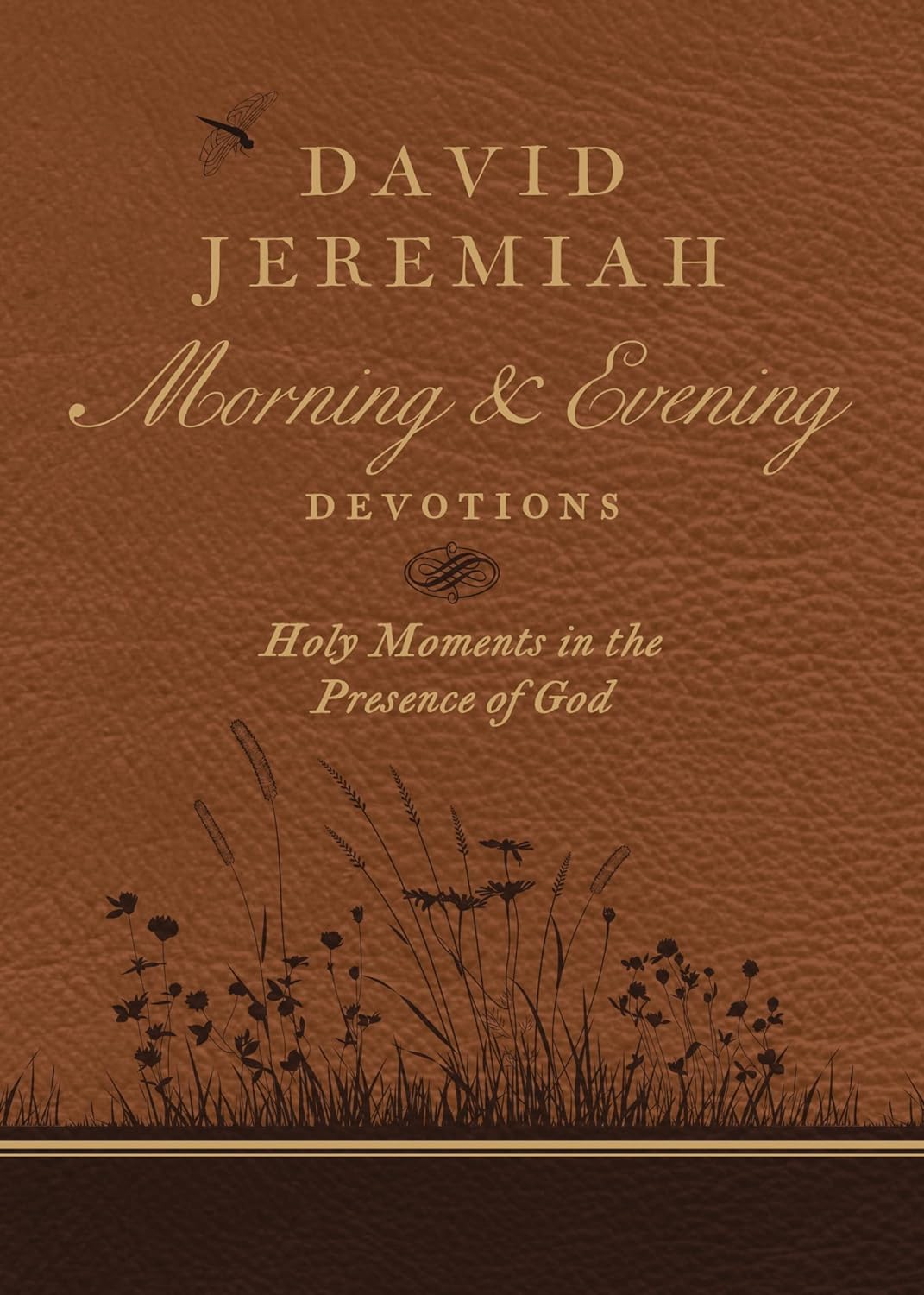 David Jeremiah Morning and Evening Devotions: Holy Moments in the Presence of God