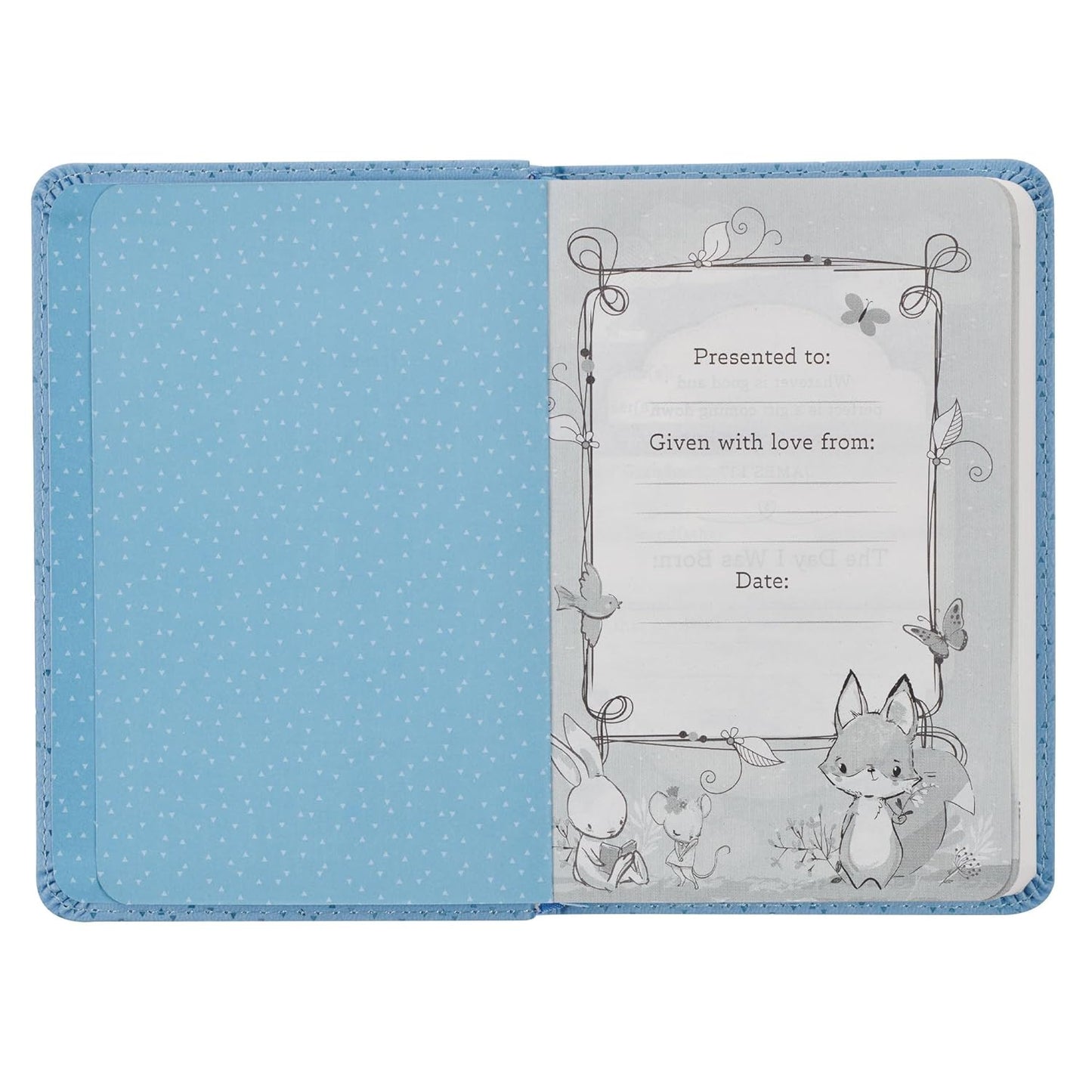 NLT New Testament with Psalms Holy Bible for Baby Boys