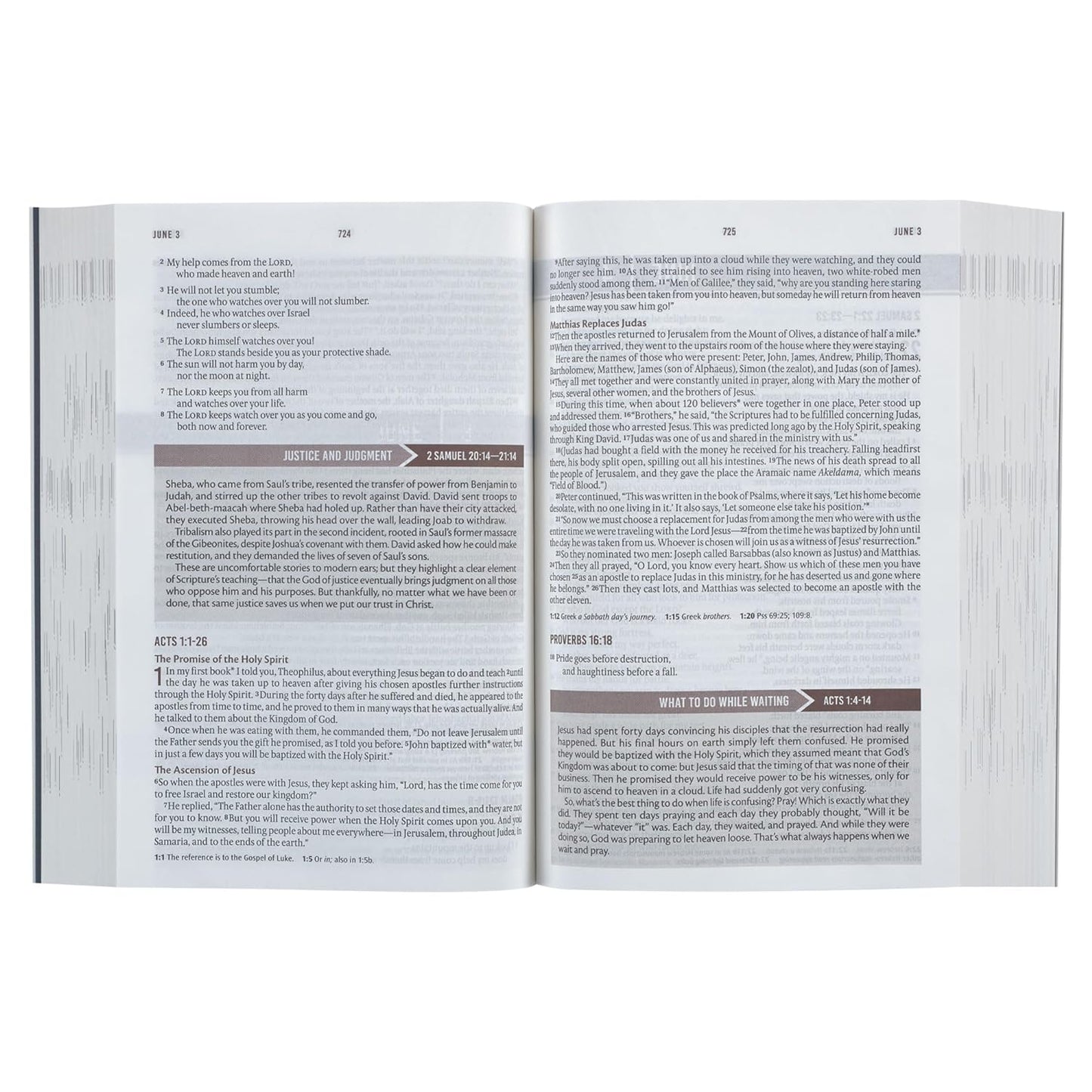 NLT Holy Bible Everyday Devotional Bible for Men