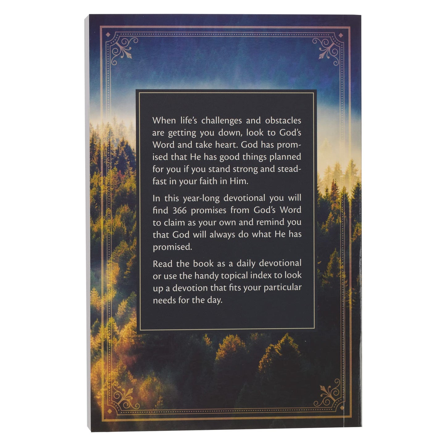 366 Devotions for Men Be Strong & Steadfast