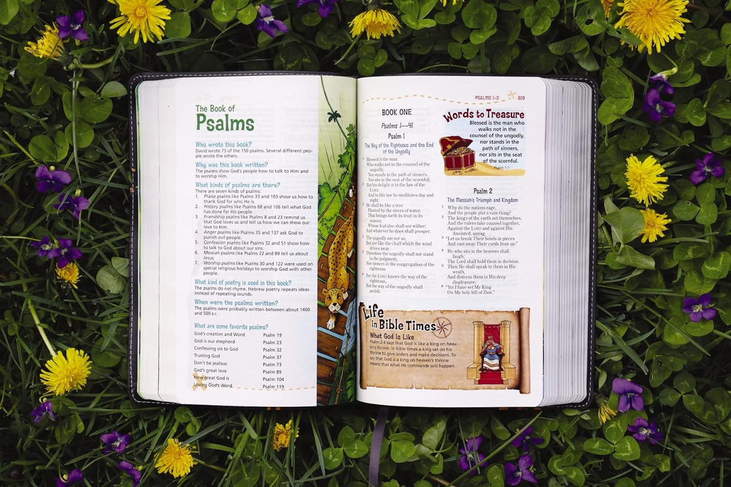 NKJV, Adventure Bible