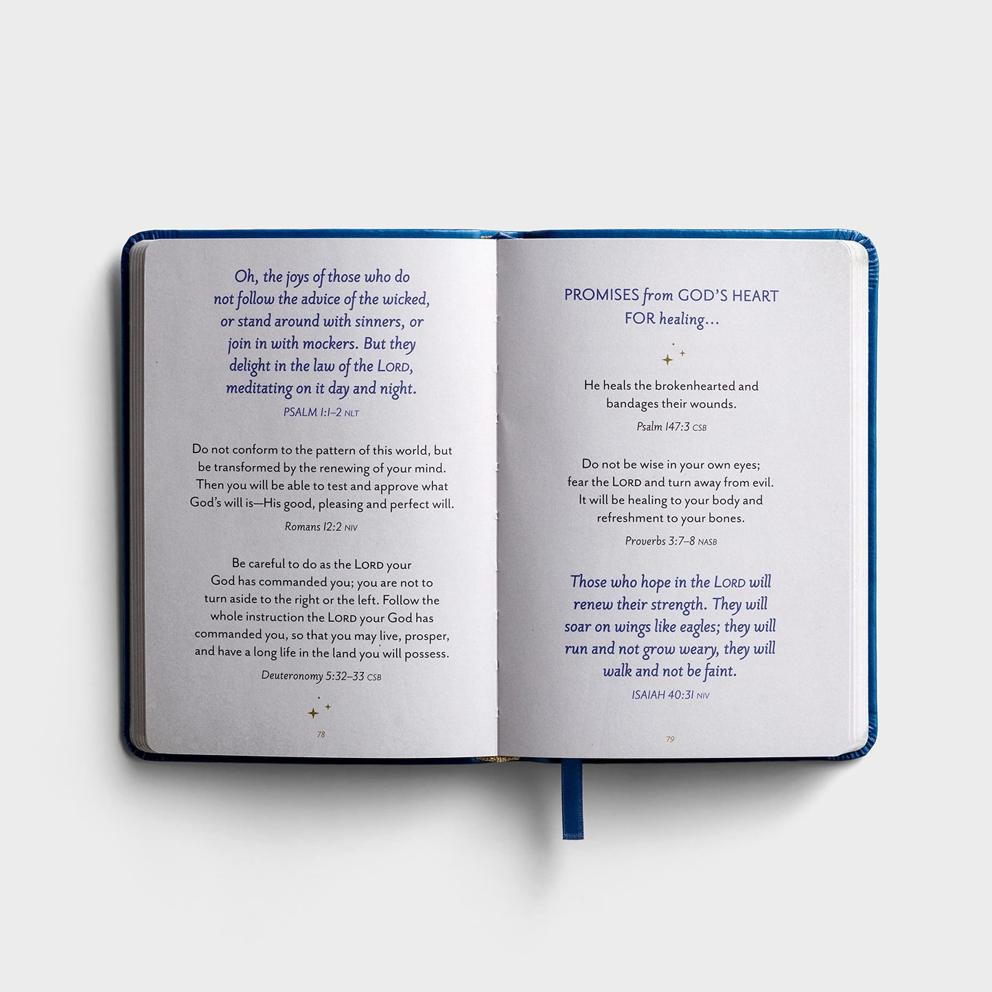 Promises from God's Heart: Comforting Truth for Your Every Need