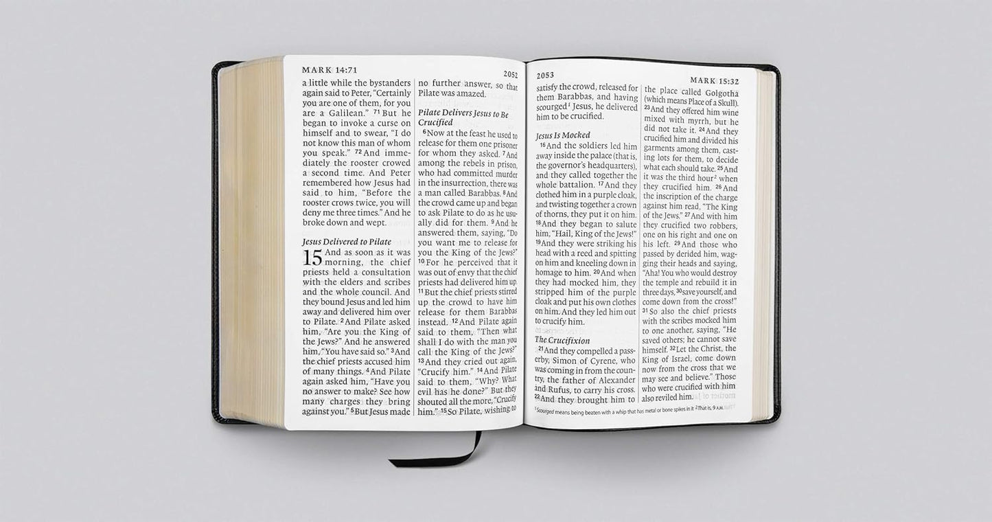 ESV Super Giant Print Bible (TruTone, Black)