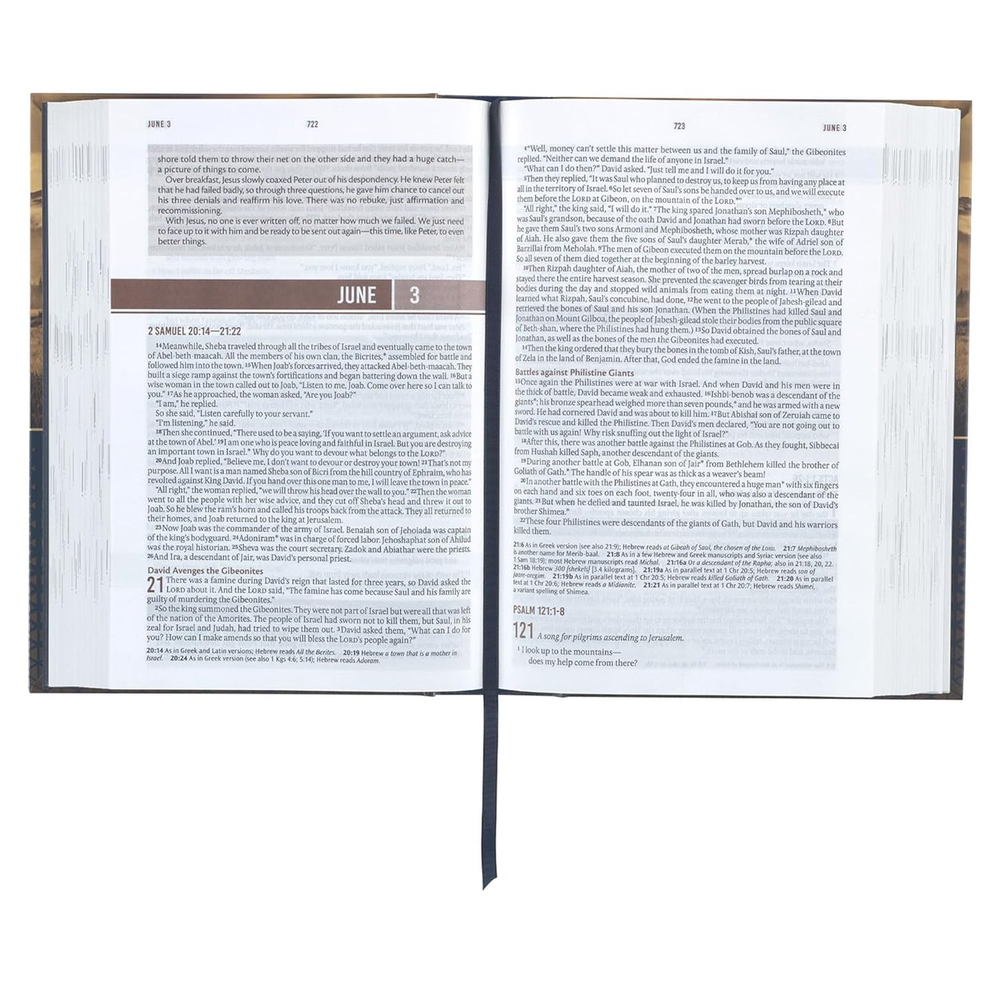 NLT Holy Bible Everyday Devotional Bible for Men