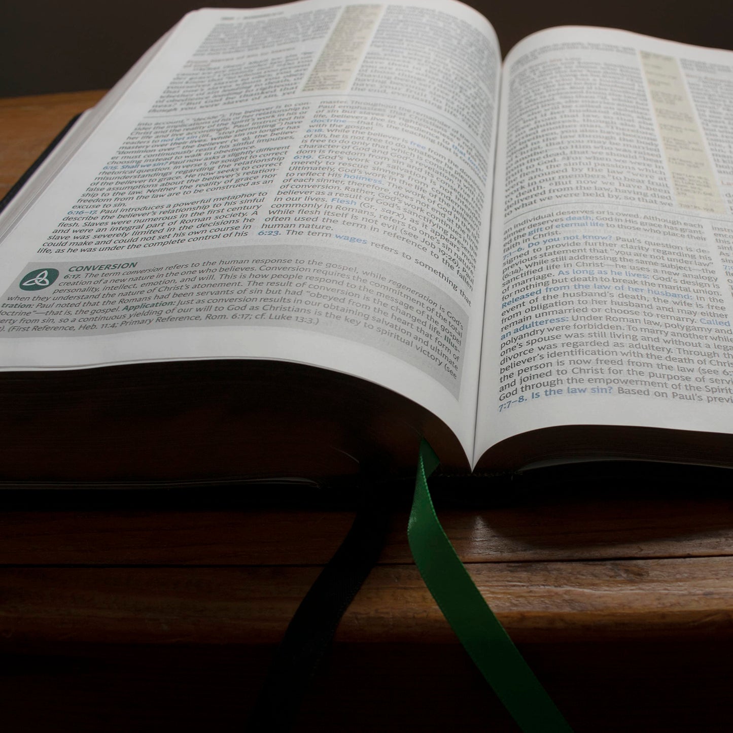 NKJV, Evangelical Study Bible