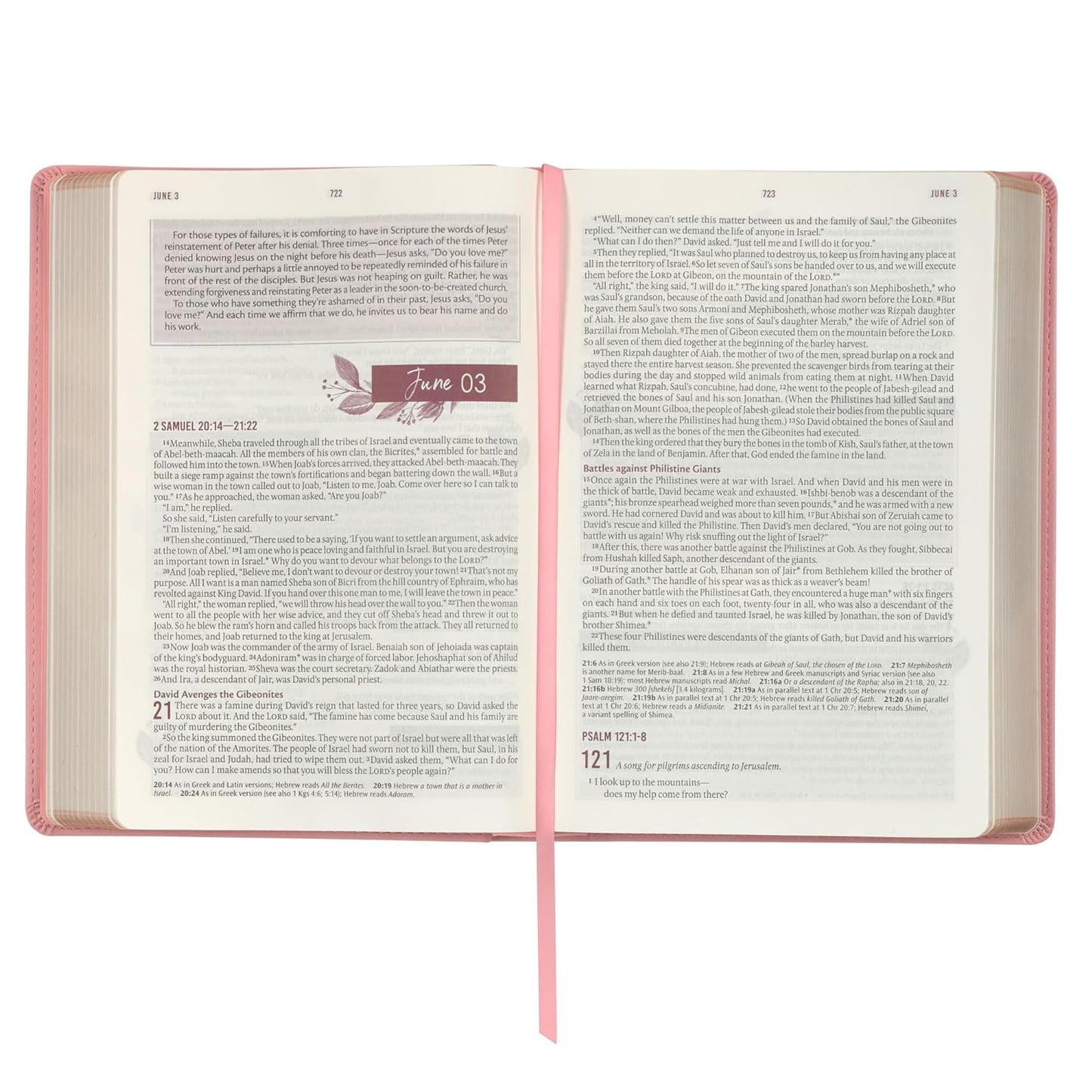 NLT Holy Bible Everyday Devotional Bible for Women