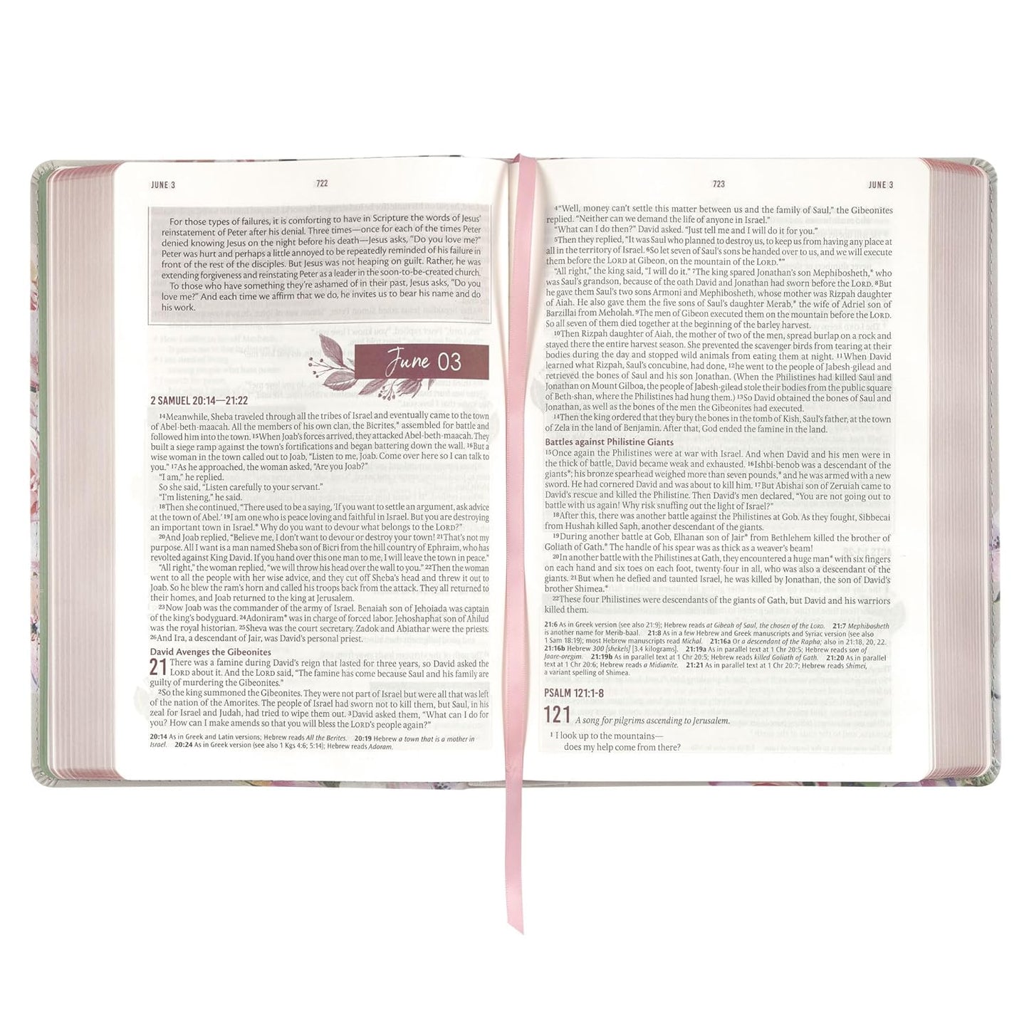 NLT Holy Bible Everyday Devotional Bible for Women