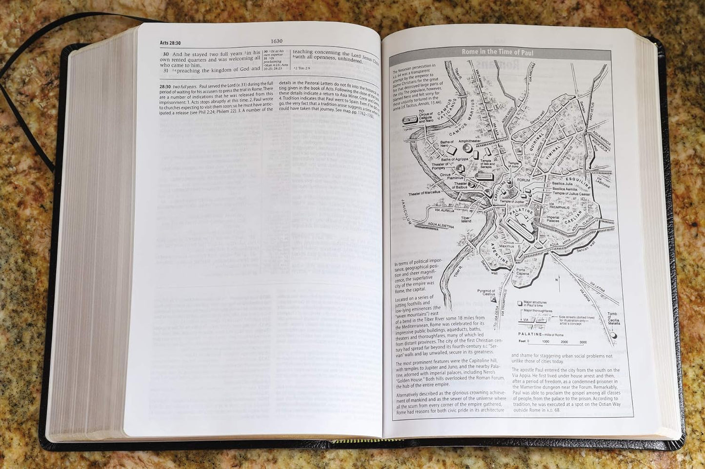 NASB Study Bible, Black