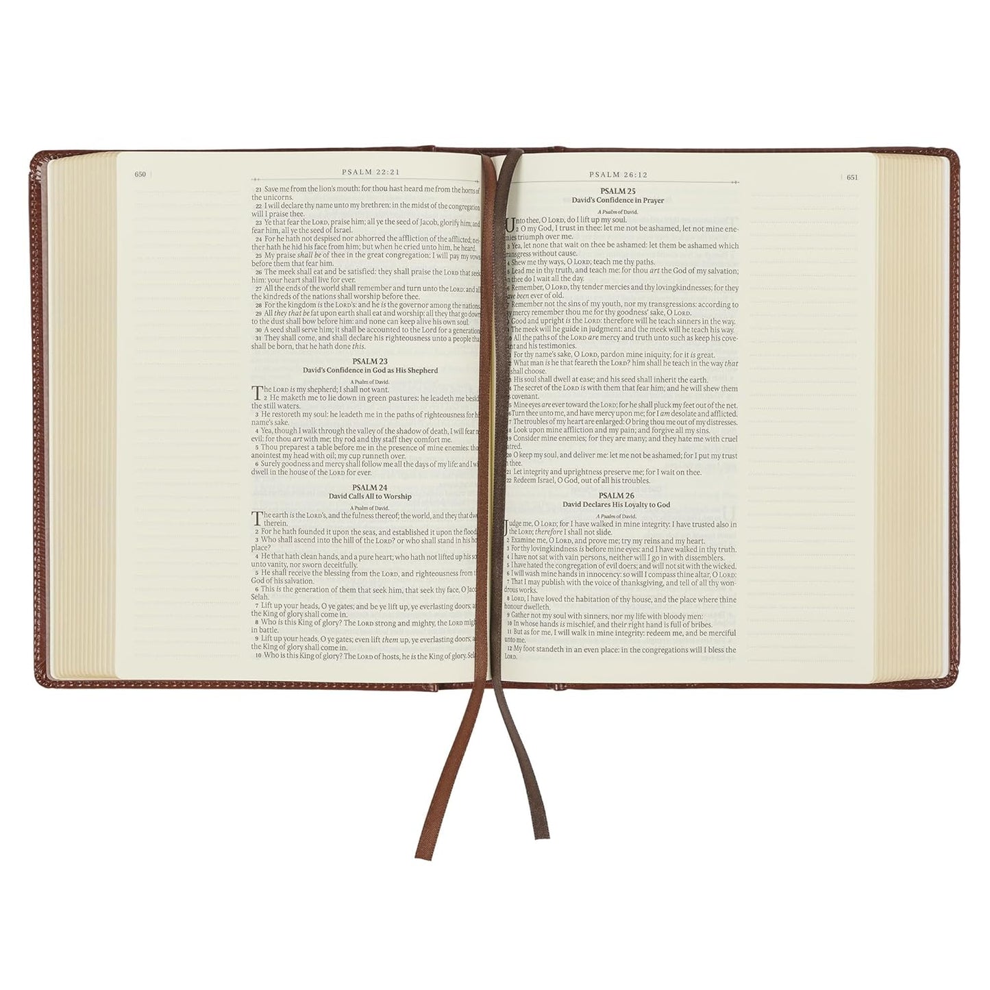 KJV Holy Bible, Note-taking Bible