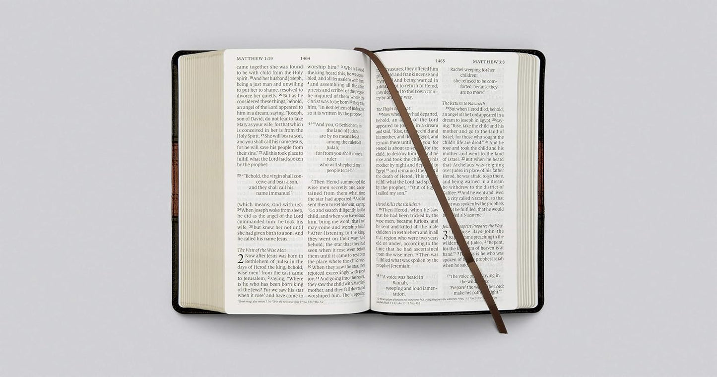 ESV Large Print Personal Size Bible, Red Letter (TruTone, Forest/Tan, Trail Design)