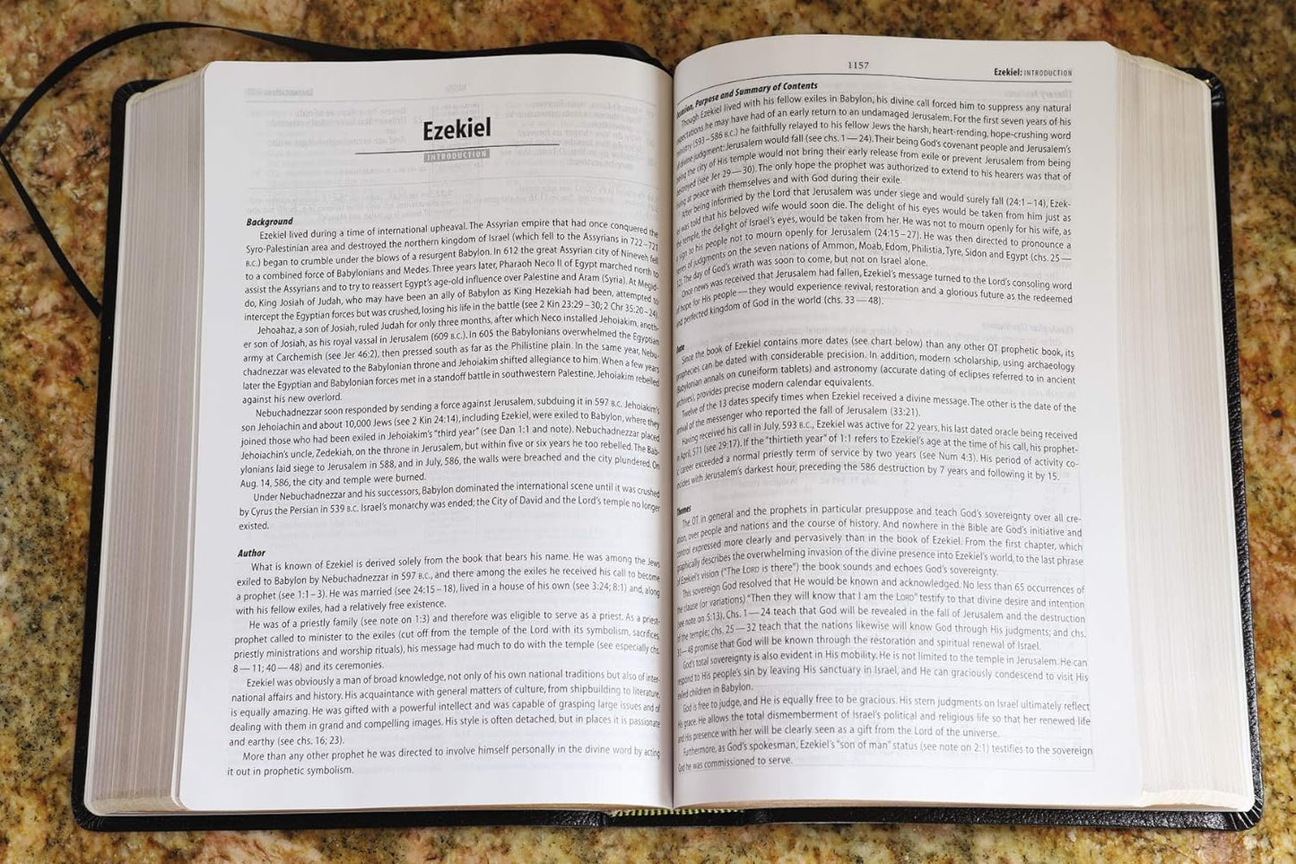 NASB Study Bible, Black