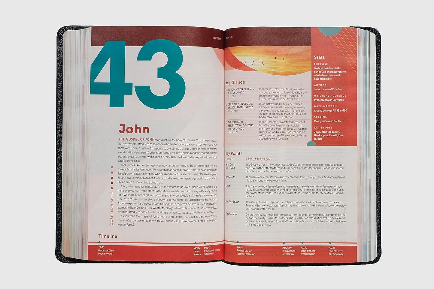 NLT Student Life Application Study Bible