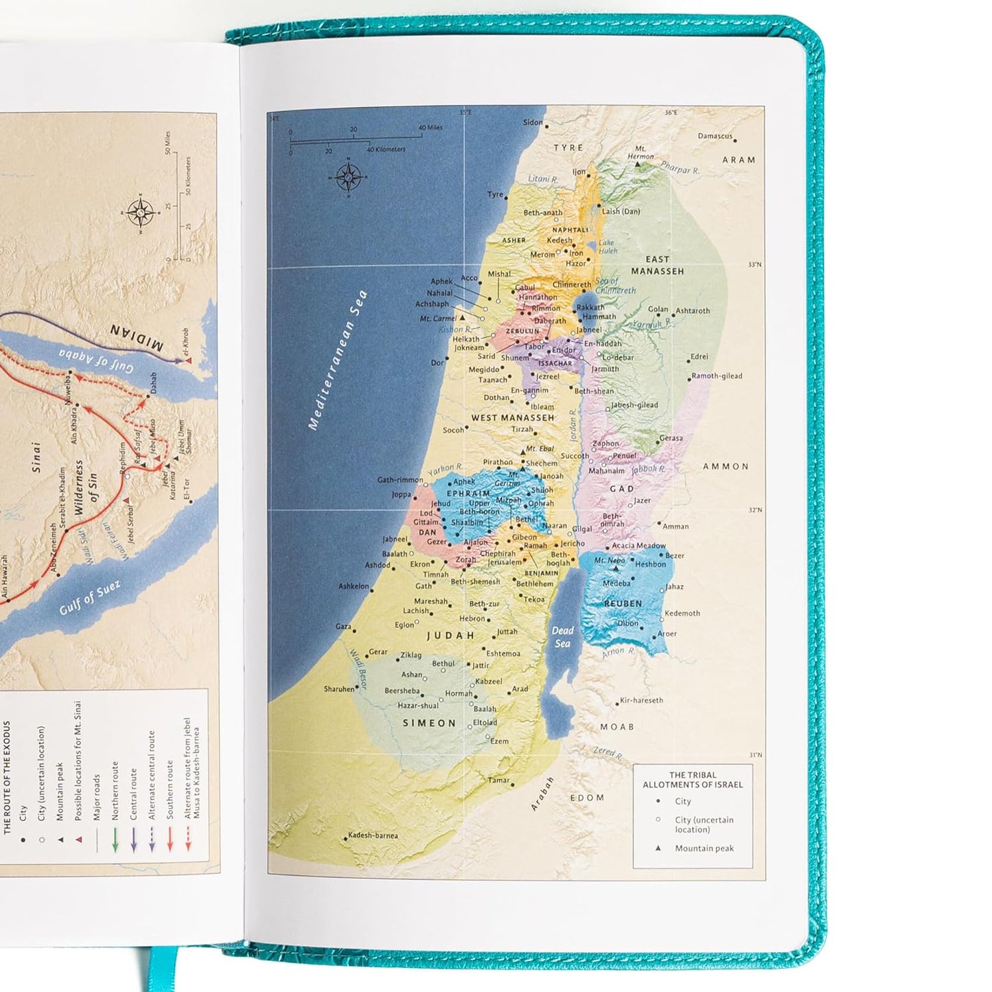 NASB Large Print Personal Size Reference Bible, Teal