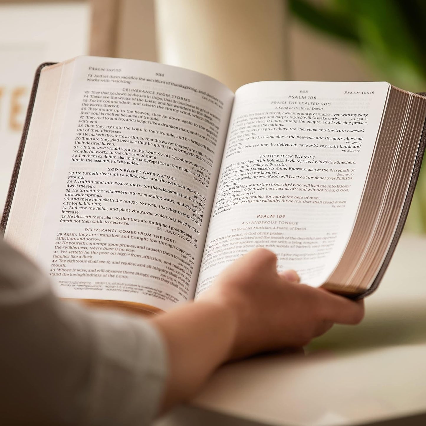 KJV, Personal Size Large Print Single-Column Reference Bible