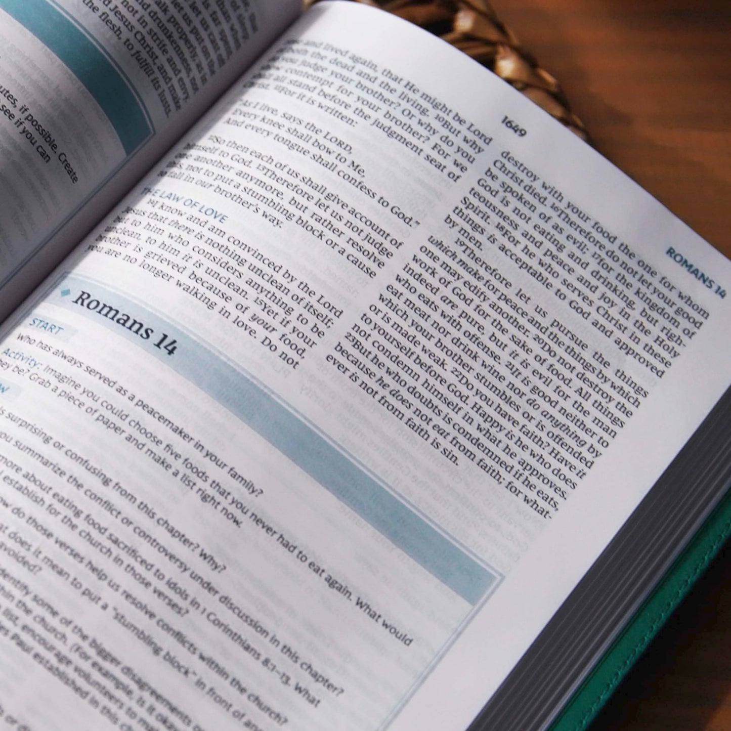 NKJV The Bible Study Bible