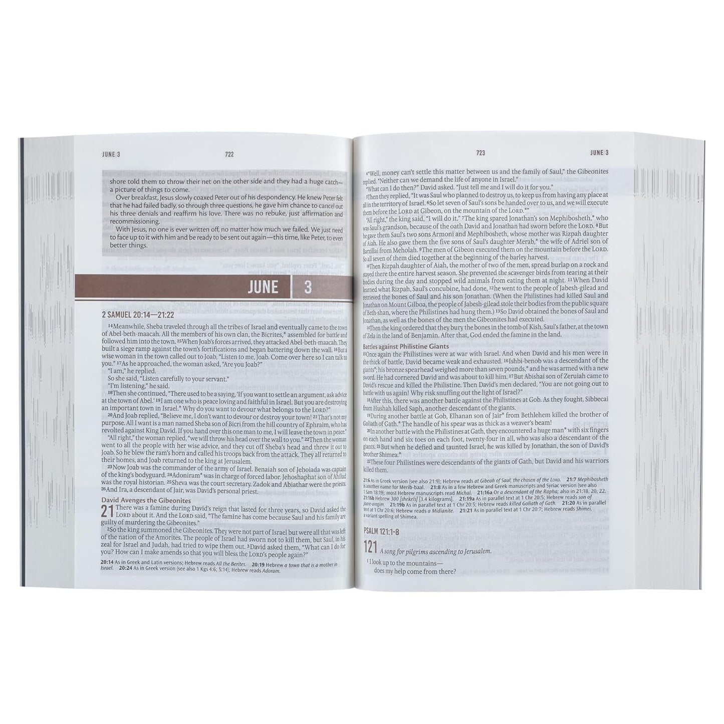 NLT Holy Bible Everyday Devotional Bible for Men