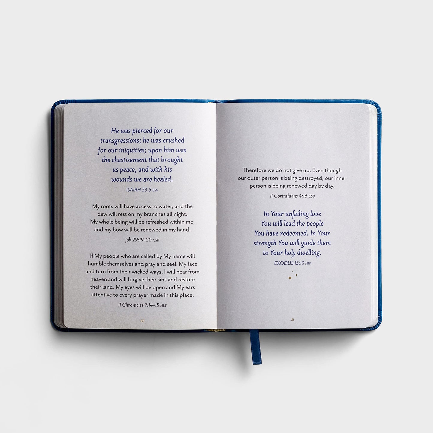 Promises from God's Heart: Comforting Truth for Your Every Need